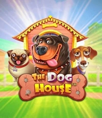 The Dog House